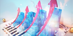 中公教育客服电话、11月经济增长多少？
