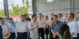 如何把新型农村集体经济发展起来