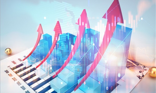 中公教育客服电话、11月经济增长多少？