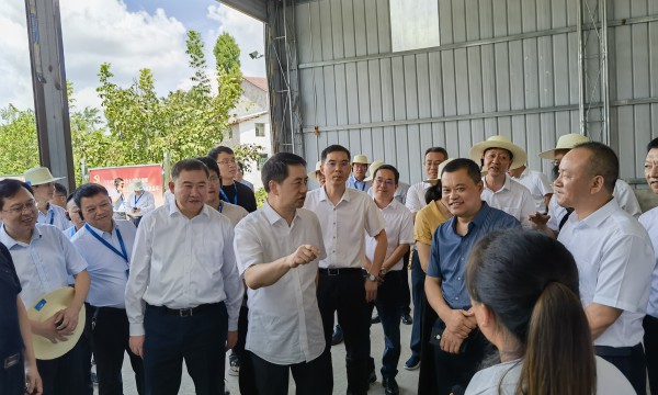 如何把新型农村集体经济发展起来